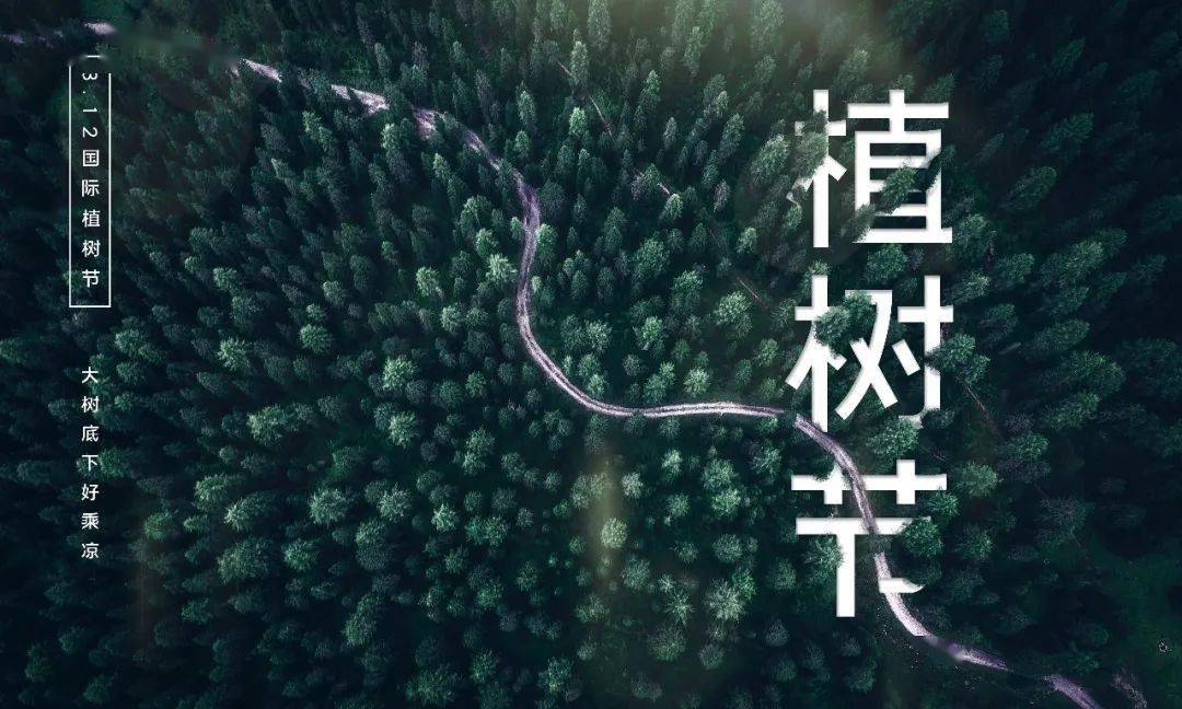 312植树节 “植”此青绿拥完美电竞抱春天(图4)