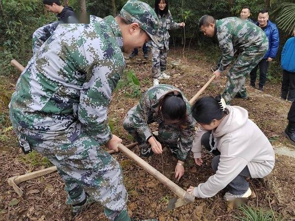 影视大全【在哪竞猜欧洲杯】-基金分红：鹏华锦利两年定开债券基金5月22日分红