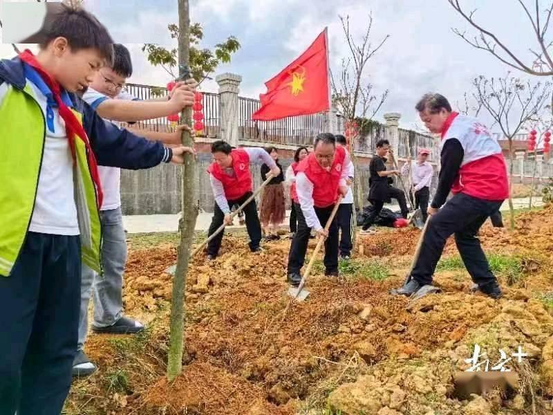 春风十里植树忙！完美电竞电白区电海街道人大代表、政协委员组团添绿(图3)