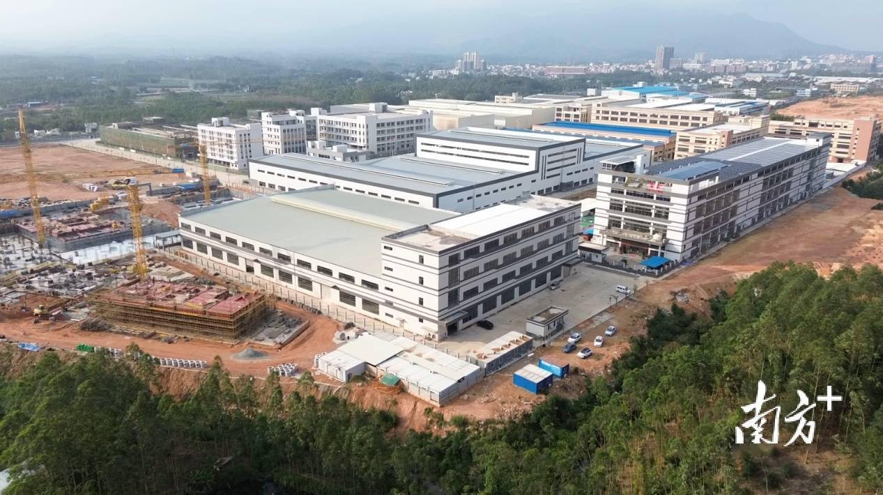 做足“土地文章”恩平全力推进全域土地综合整治麻将糊了