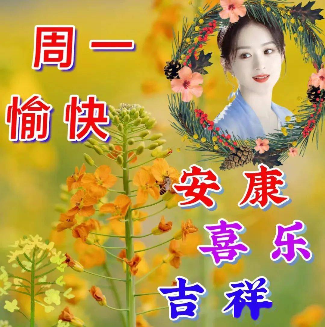 周一最新版早上好温馨祝福唯美问候图片，新的一周，平安喜乐，万事如意！