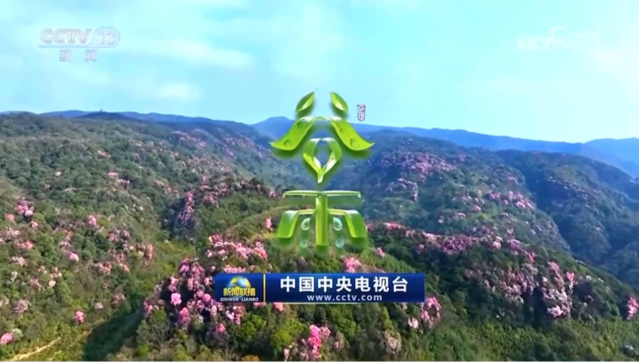 原创《新闻联播》结尾，终于不是整理稿子了，一分钟彩蛋让人耳目一新