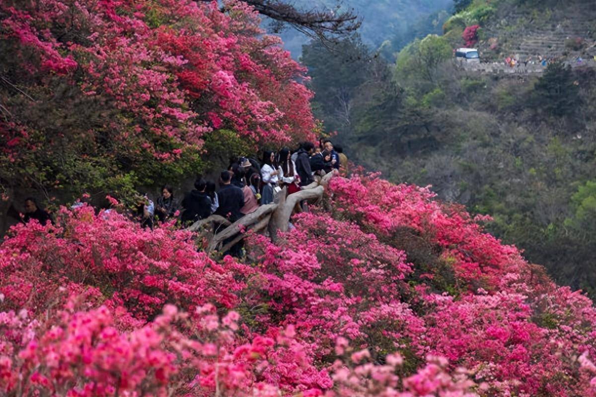 🌸【2024澳门天天开好彩大全】🌸_8月15日宝鹰股份涨停分析：VRamp;AR，智慧城市，恒大概念股概念热股