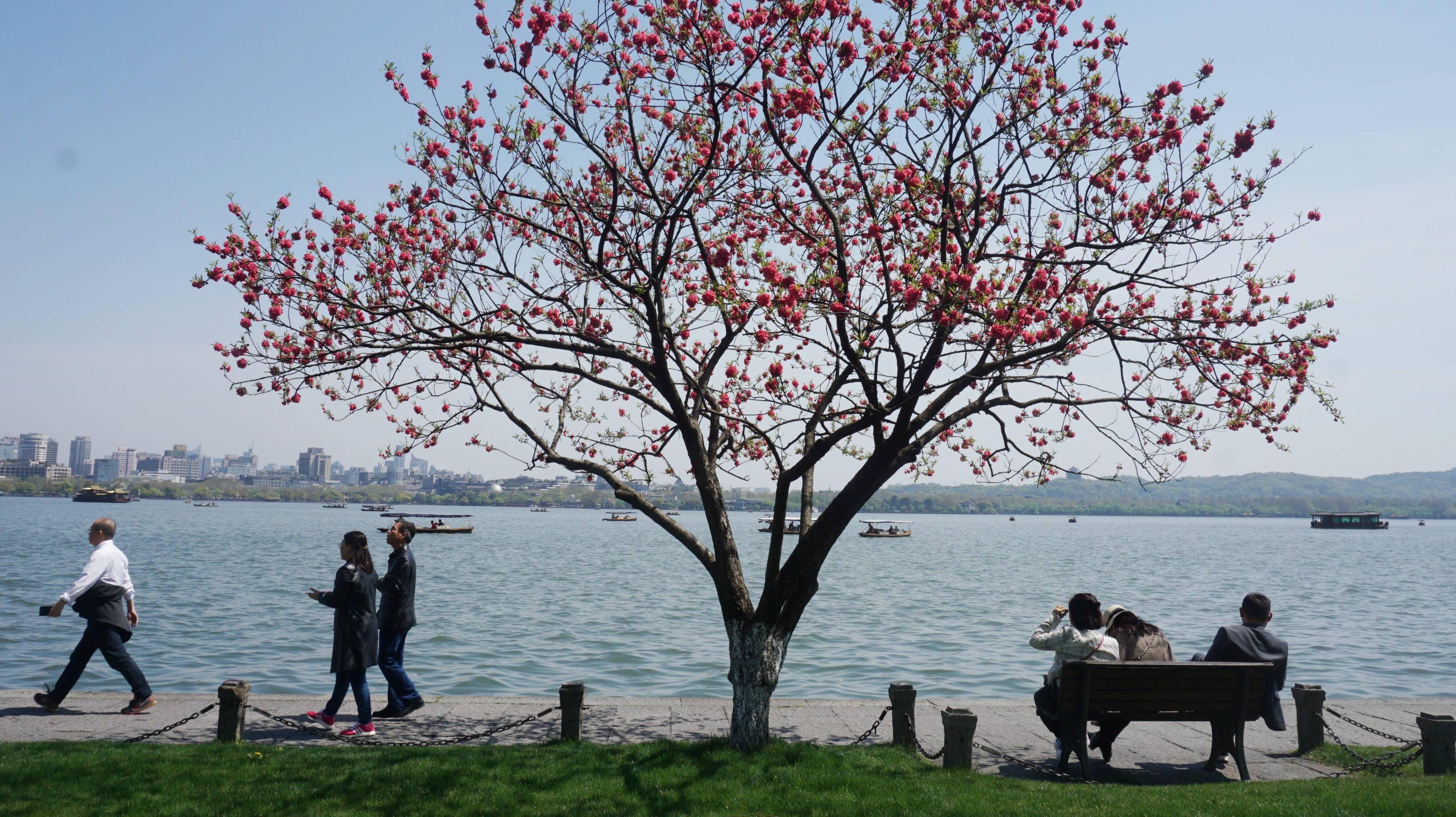 🌸新京报【新澳门一码一肖100精确】_中国最像欧洲的城市，比上海悠闲，比厦门浪漫，你知道是哪里吗？