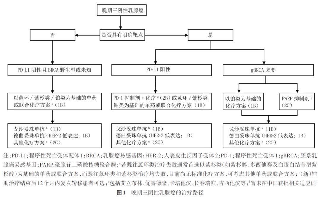 中国晚期三阴性乳腺癌临床诊疗指南（2024版）（内科临床诊疗指南）三阴乳腺癌中国方案，