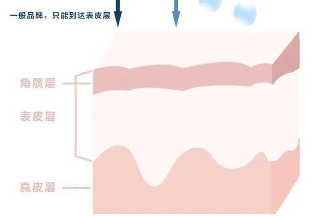 🌸橙柿互动【2024新澳门天天开好彩大全】_娱乐连连看：赵露思、肖战、刘雨昕、张惠妹、郑恺、鞠婧祎