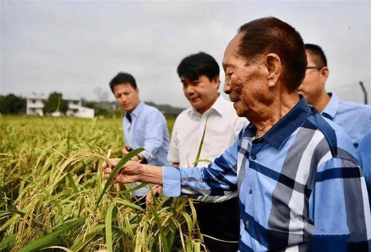 🌸辽望【2024澳门天天开好彩大全】|经济日报携手京东发布数据——父亲节消费偏好时尚健康