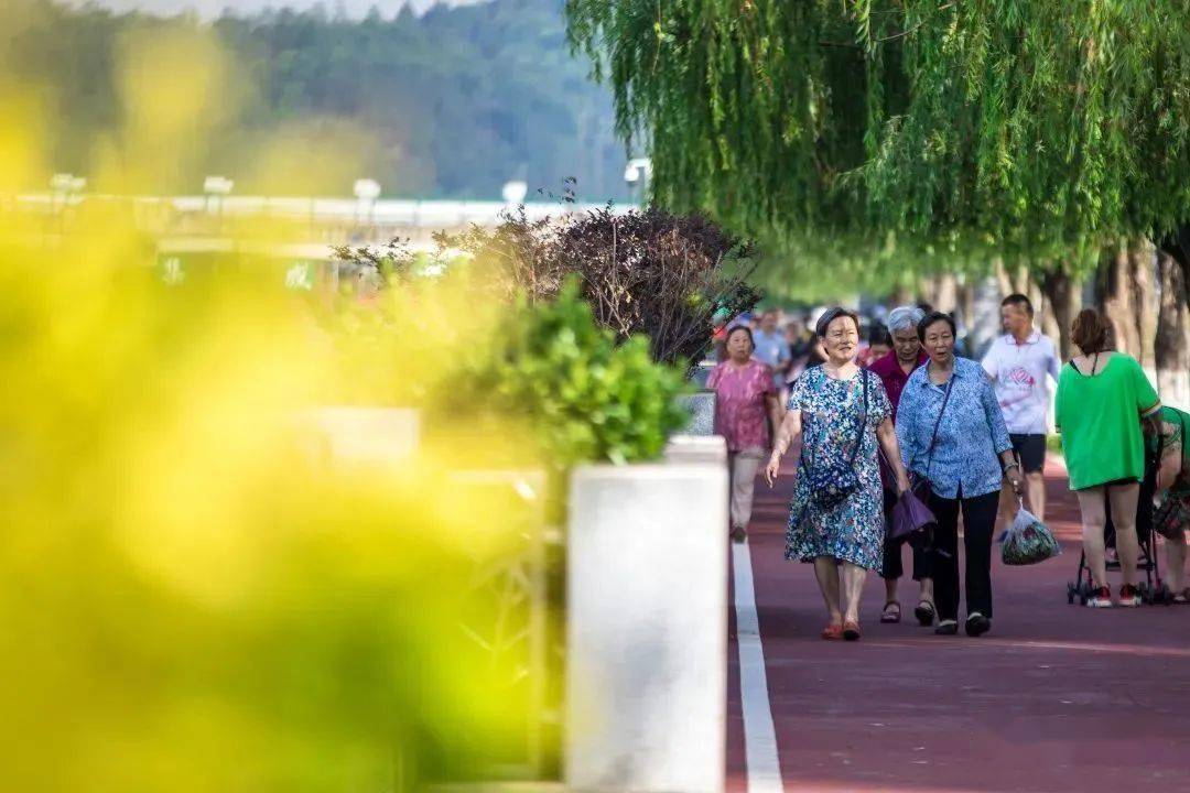 🌸【2024澳门天天开好彩资料】🌸_雄州街道“绣花精神”雕琢城市标准化精品示范单元