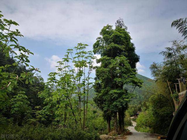 湖南娄底有哪些景点,娄底8大好玩景点推荐,建议收藏! 湖南娄底有哪些景点,娄底8大好玩景点推荐,建议收藏!