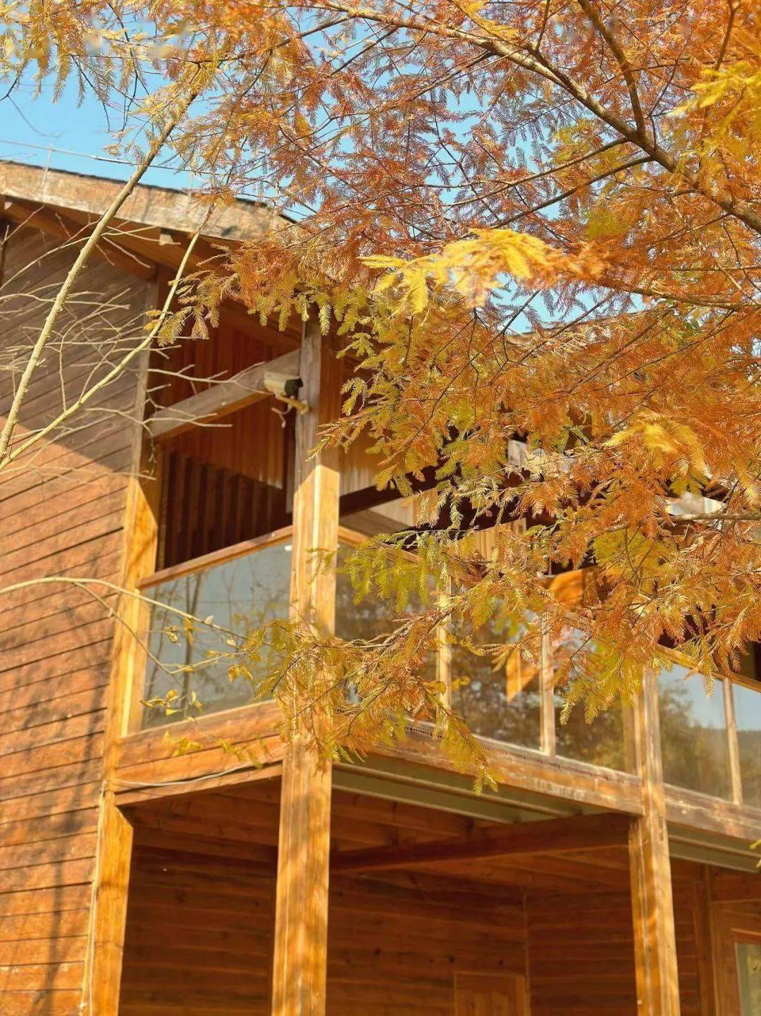 打卡湖南秋日限定美景,去这几个地方就够了 打卡湖南秋日限定美景,去这几个地方就够了