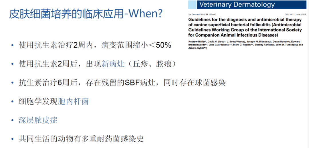 【听课笔记】犬猫感染性皮肤病诊疗管理及国际新知