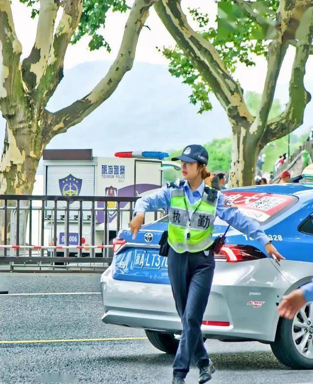 兔子警官被撞这件事真的有点奇怪