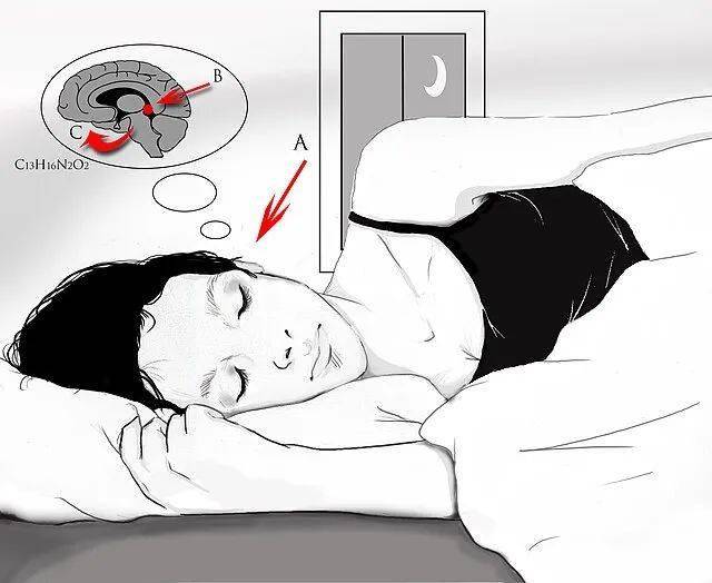 “含10倍褪黑素”的晚安牛奶，真的能催眠吗？