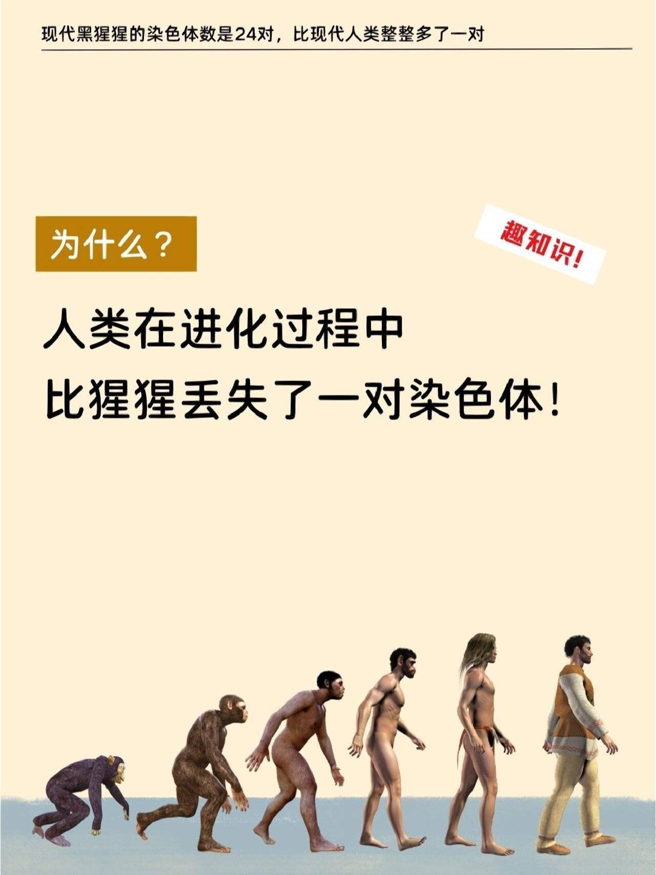 深度科普：为何人类比猿少两条染色体？难道进化论错了？