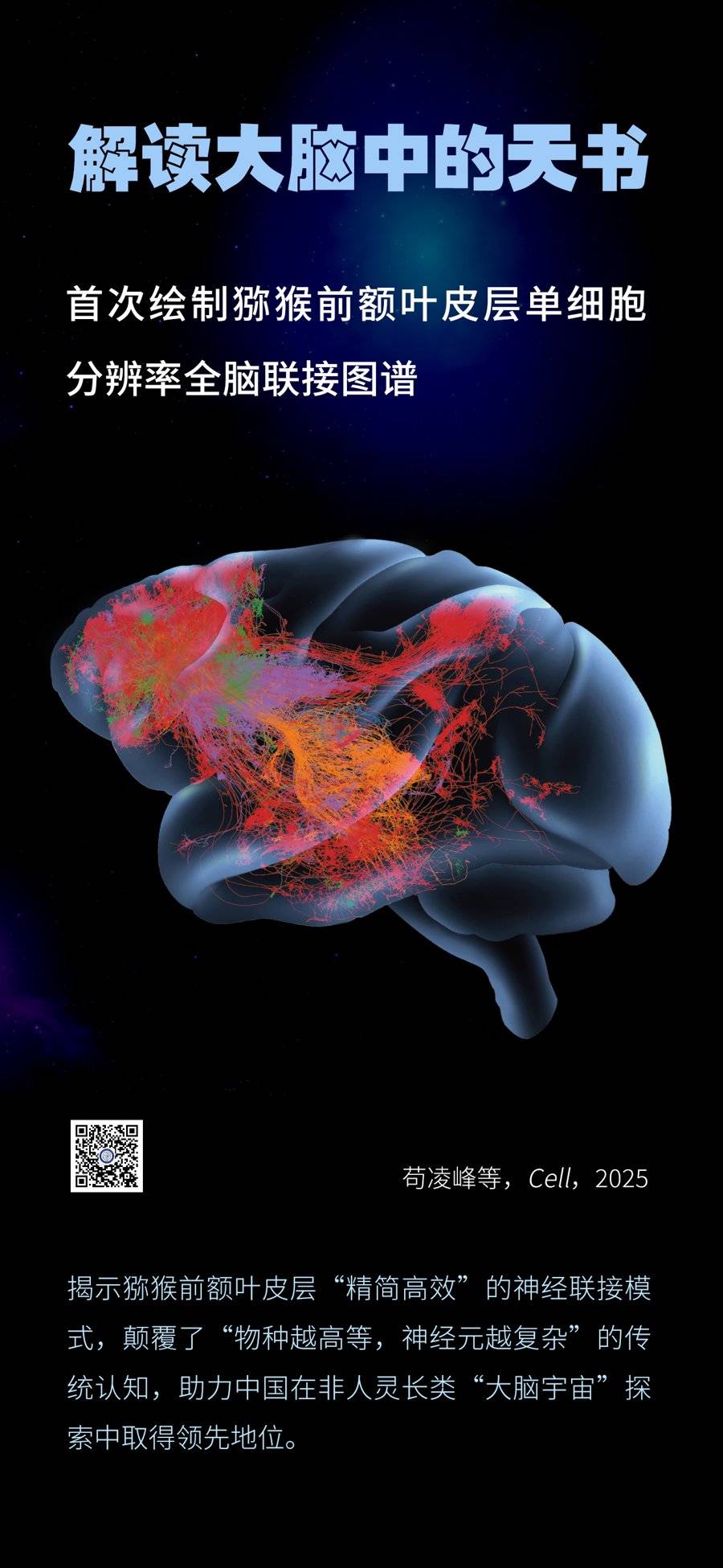 中国脑计划成果“组团”全球首秀，《细胞》首推脑图谱中国专辑