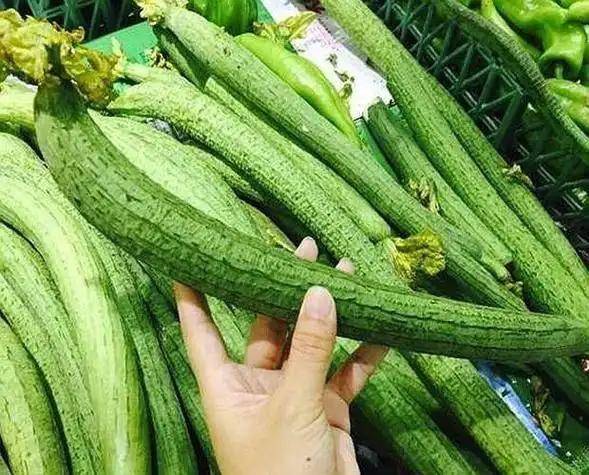 丝瓜再次被关注！医生发现：常吃丝瓜的糖尿病人，能获得5大改善