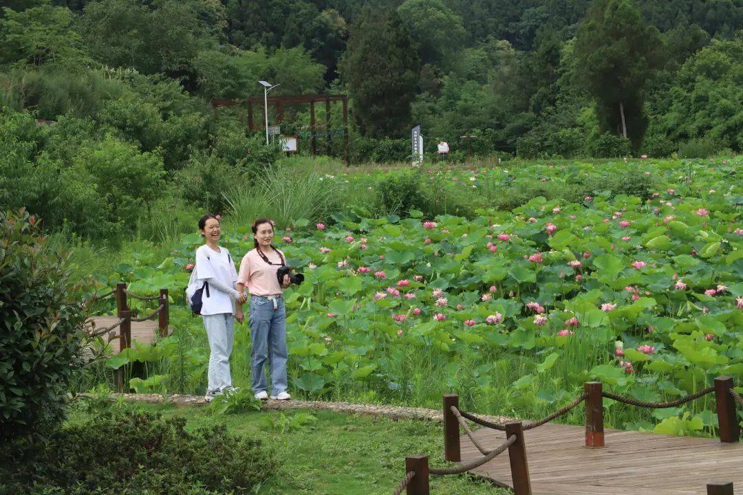 文商旅体融合+乡村振兴 简阳这里玩出新花样→
