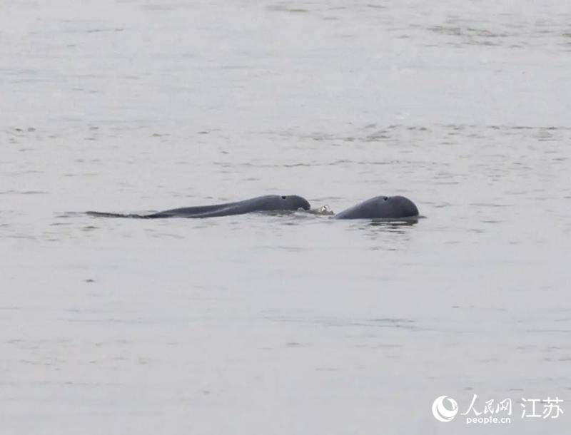 青春华章丨水运江苏：江河湖海共行舟