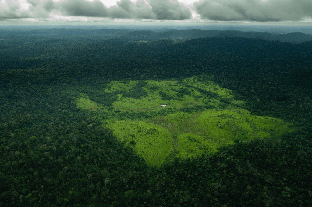 别伤害我歌曲原唱
