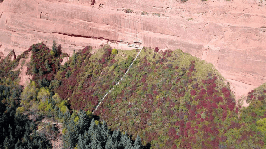 钱再多有什么用？ 46岁女儿至今不婚不育，继子反倒成了姜昆的骄傲