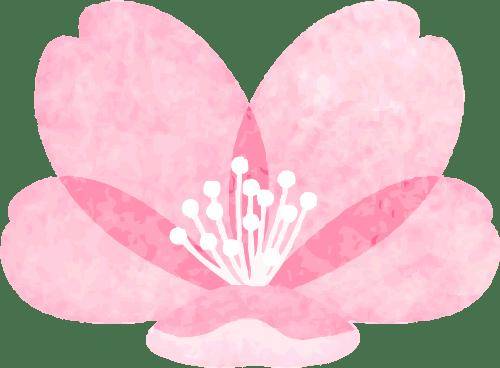 北京新添一个超美大公园！占地超300亩