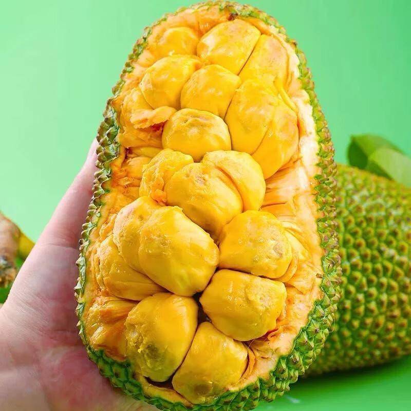 热带果香盛宴：解锁海南榴莲蜜与菠萝蜜的甜蜜诱惑