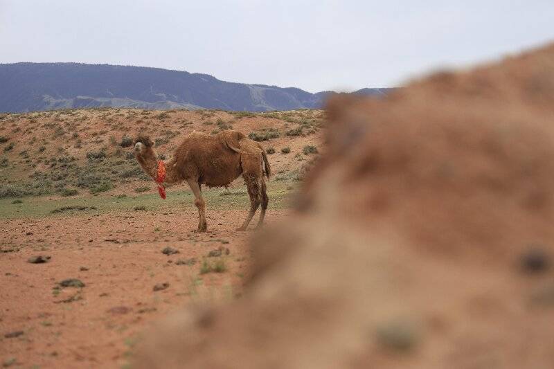 Binance Casino - 领先的数字货币娱乐场，安全稳定，极速存取西北旅游省钱攻略与必逛名胜推荐