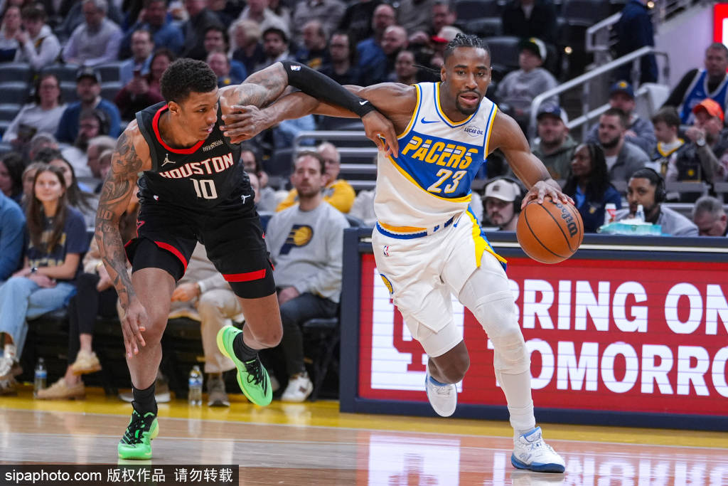 小火箭赛鸽图片大全集最新