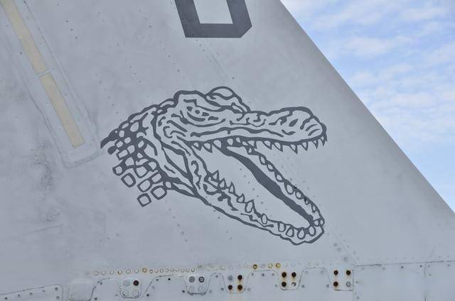 从弃子到全能王：麦道F/A-18“大黄蜂”的逆袭之路