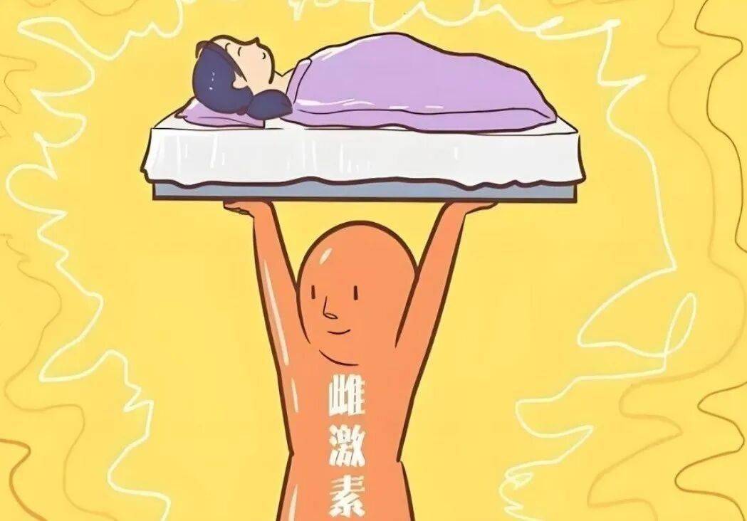 探秘身体的“指挥官”：雌激素是如何影响我们健康的？
