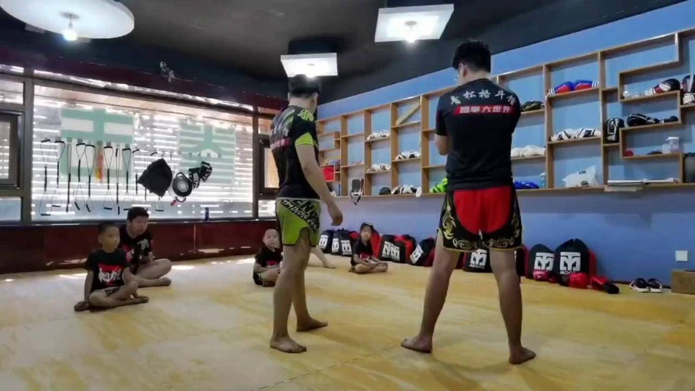 散打 拳击 自由搏击 泰拳 欧式踢拳扫踢教学视频原声!