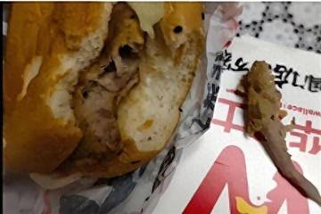 网友称在华莱士汉堡吃出“形似尾巴”异物 涉事