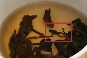 奈雪的茶被曝喝出干青蛙 当事人：市场监管部门