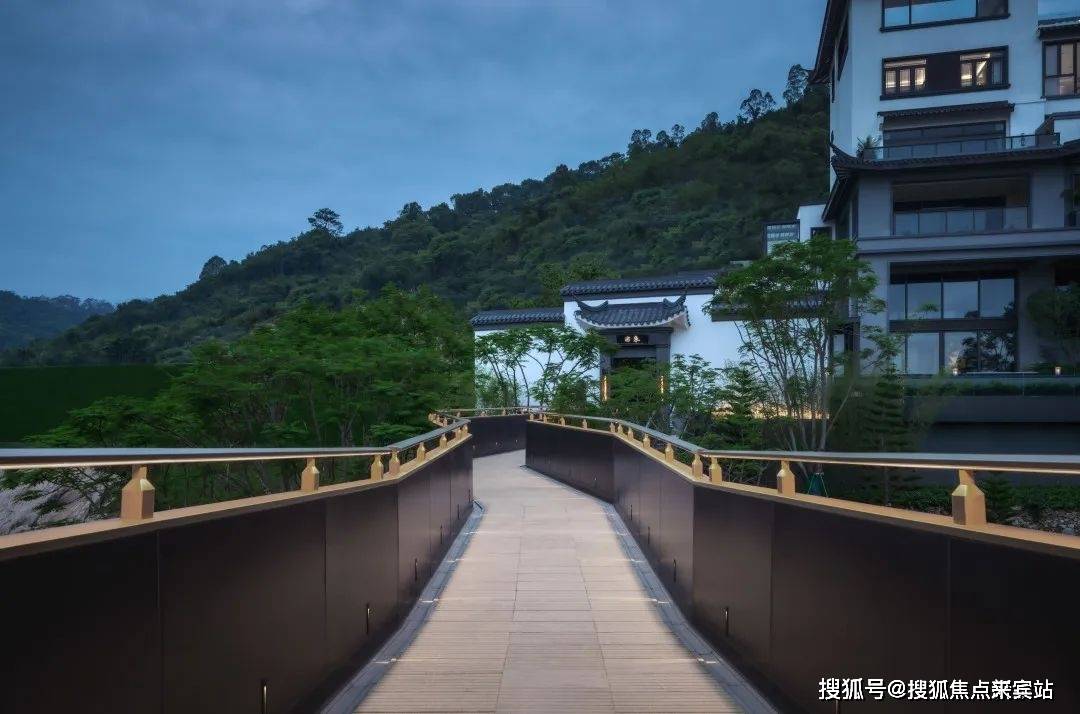 走出雲間鳳的視角在空中步道間漫步,回望景色,雲間鳳藏在樹梢叢林間