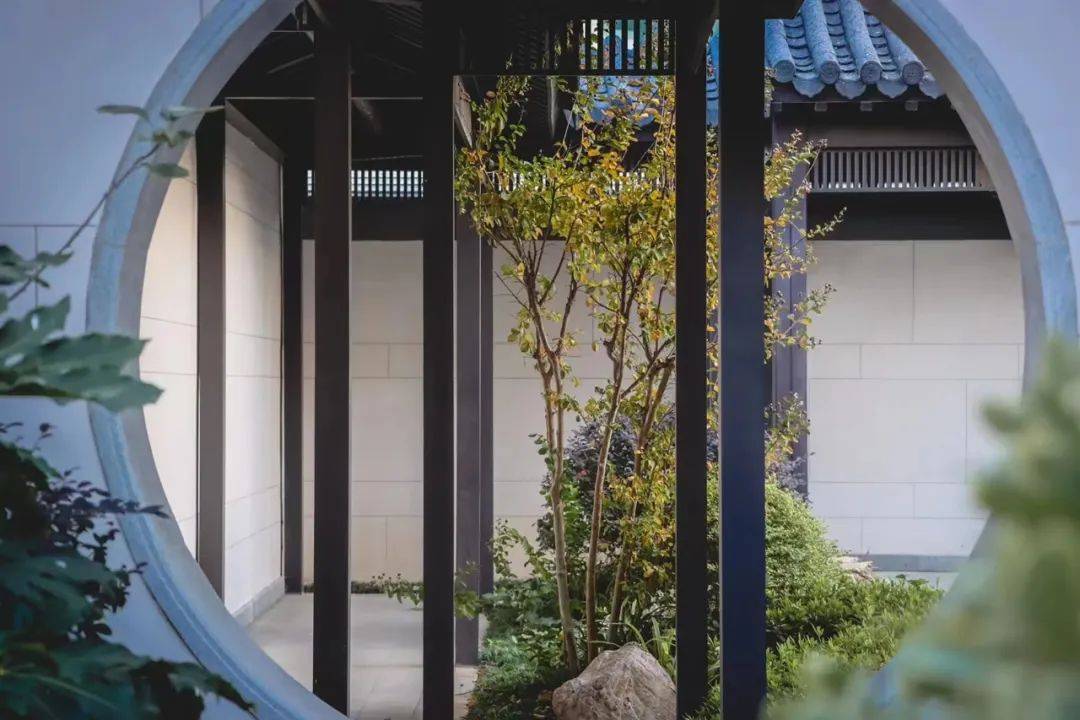 济宁曲阜尼山耕读书院项目一期温学坊圆满交付_文化_业主_内容