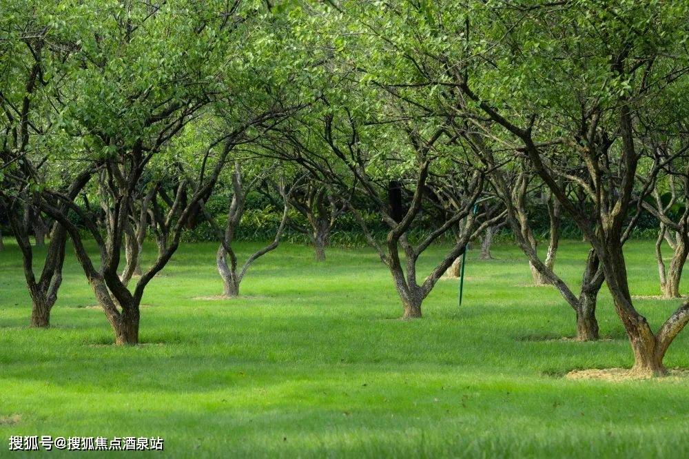 時代天韻【廣州】售樓處vip熱線電話_樓盤怎麼樣_售樓