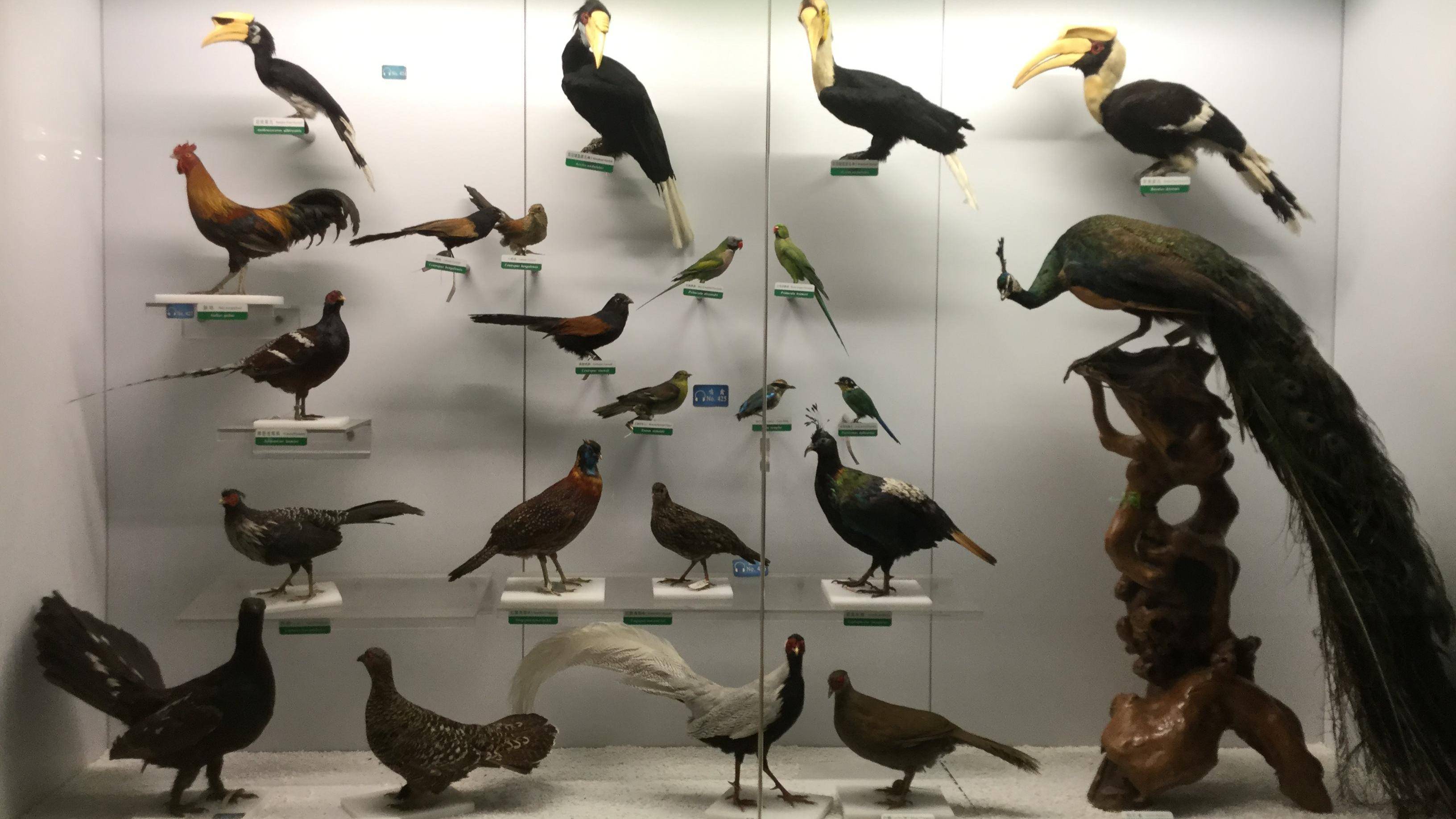 展厅_标本馆_观众