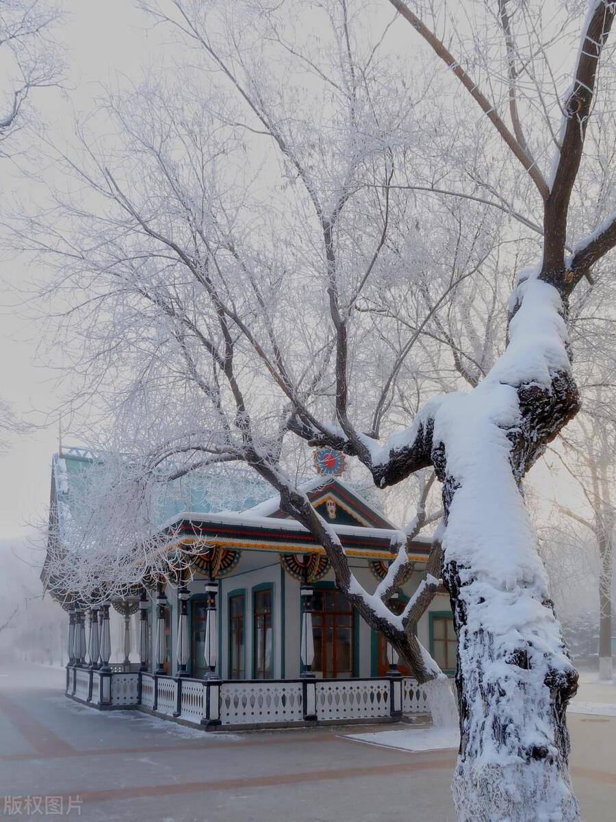 我的哈爾濱旅遊行程安排,哈爾濱五日旅行需要多少錢_雪鄉_前往_世界