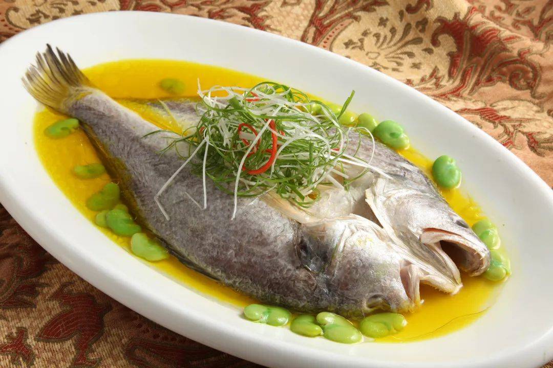 霞浦這道美食你知道嗎?_鮑魚_大黃魚_全國