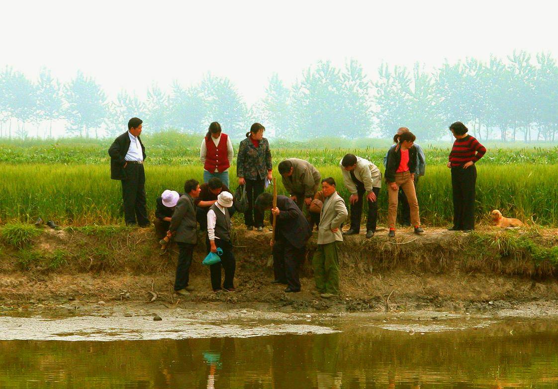 小學生魚塘發現大量黃金,遭附近村民瘋搶,專家:這是無