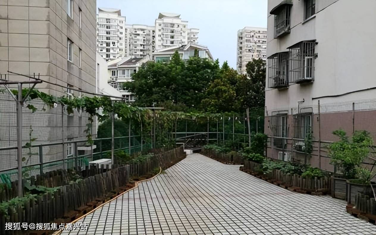 上海徐汇区枫林路街道养老院有哪些