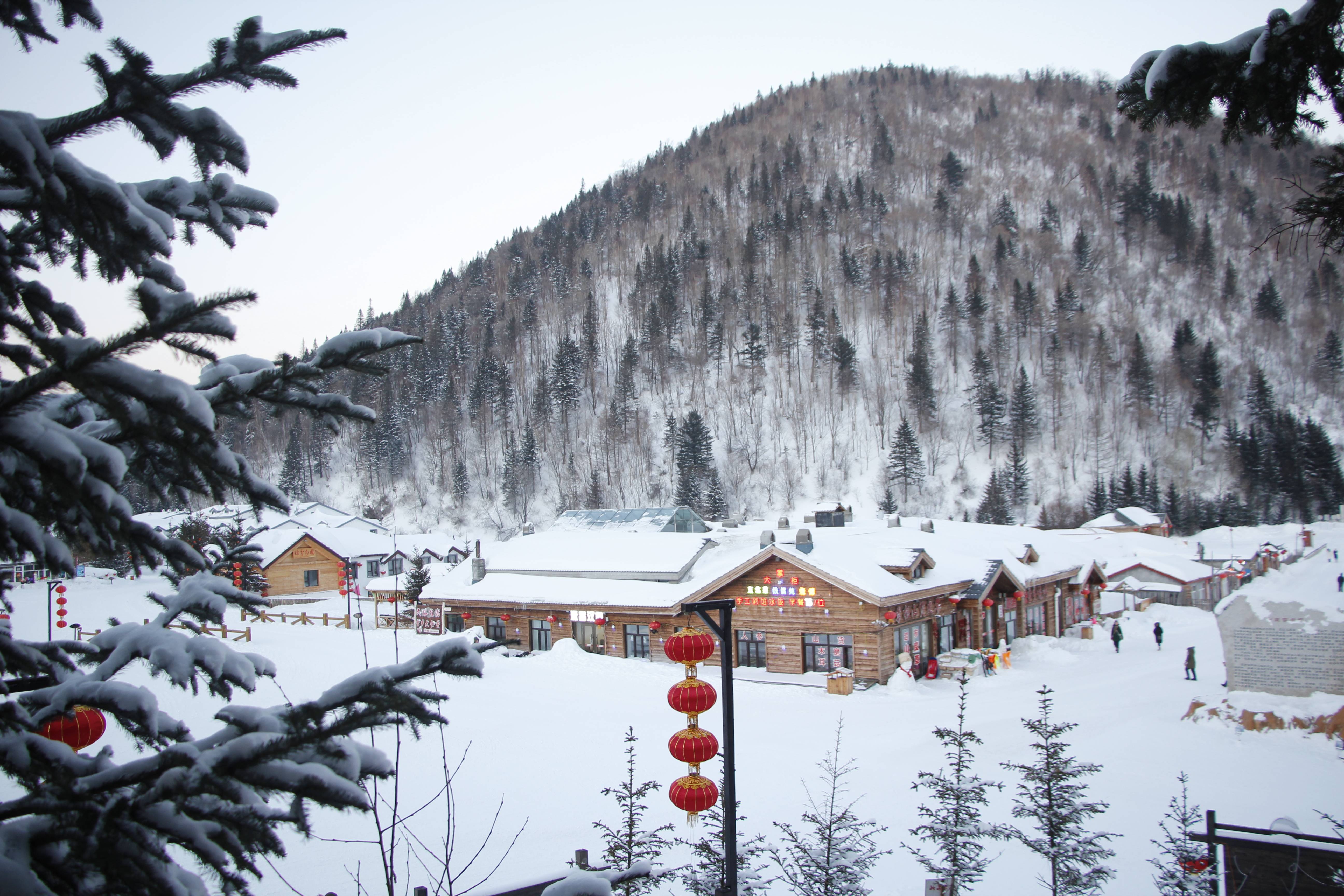 情侣去东北雪乡游玩五天多少钱,二个人东北雪乡5日旅