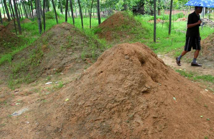 坟头上不长草究竟好不好,坟头上有草要不要拔掉?快来看看