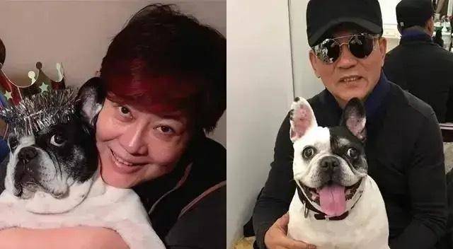 孙淳和蒋雯丽主演的《幸福来敲门》,播出后好评如潮_傅丽莉_妻子_合作