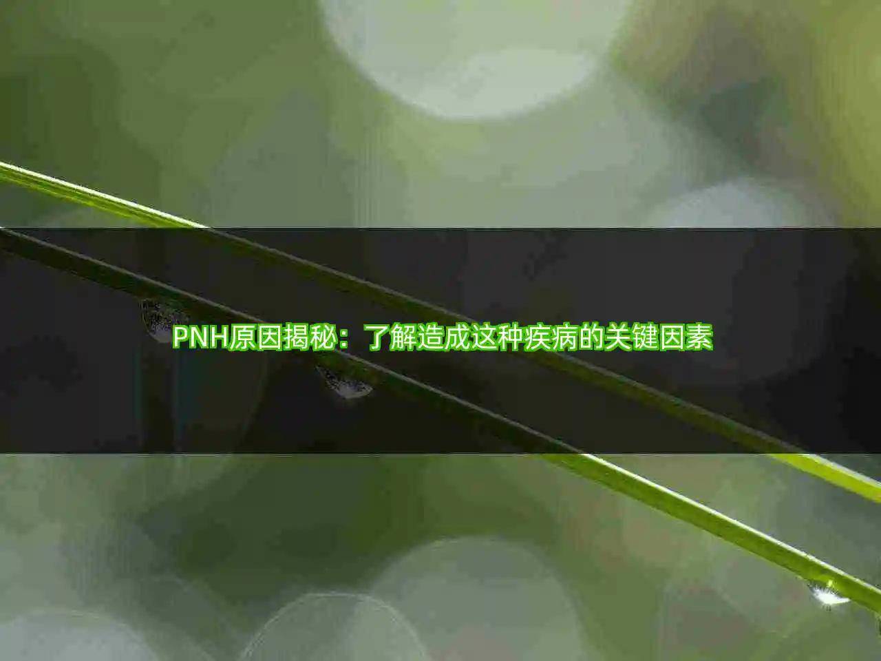 pnh原因揭秘:瞭解造成這種疾病的關鍵因素_研究_藥物_患者