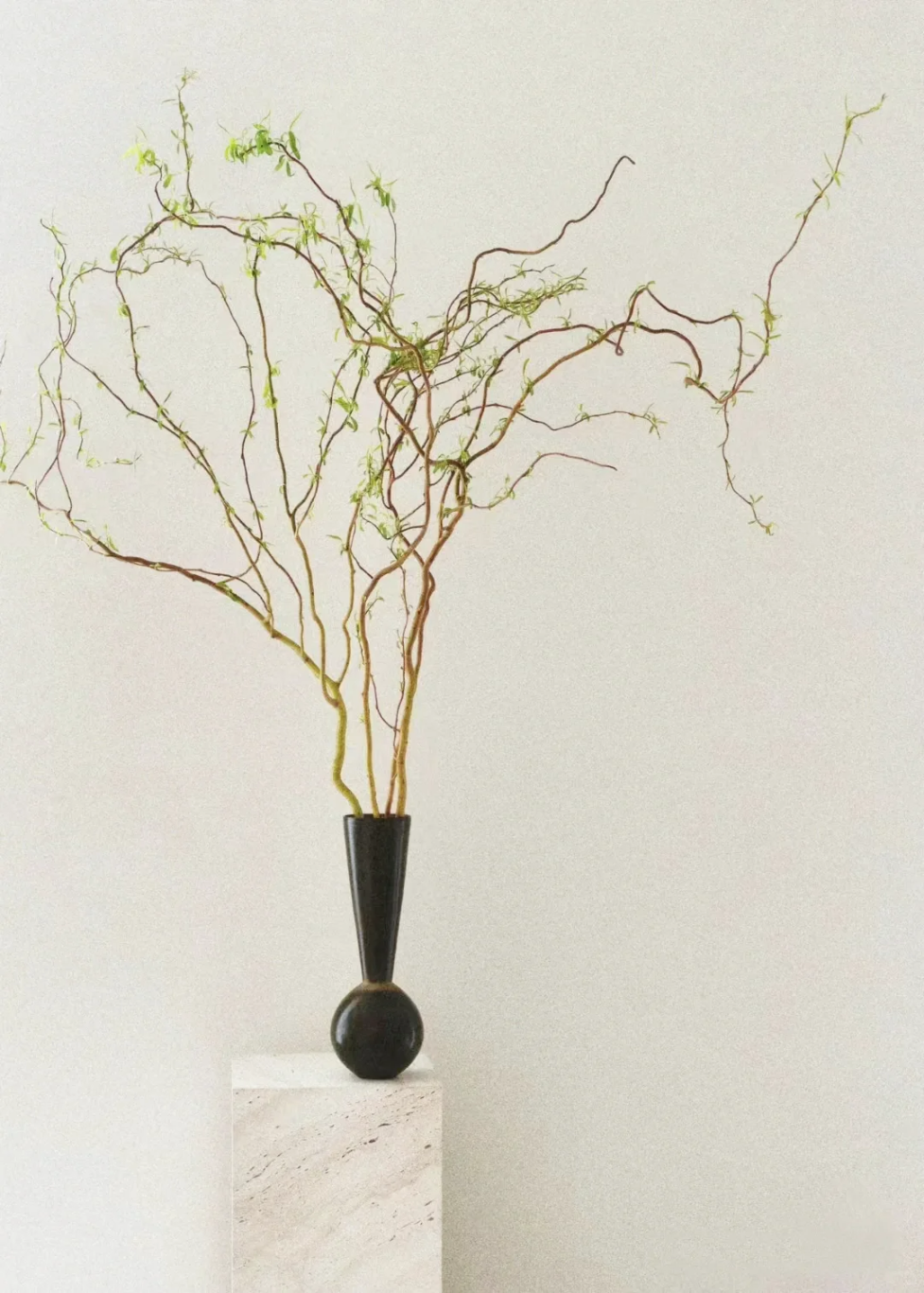 插花_线条_植物