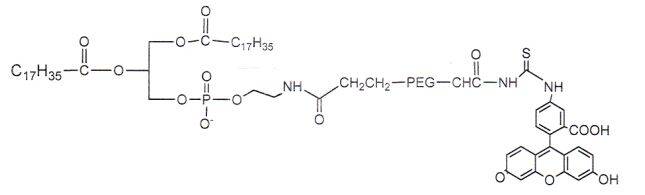 結構式:品牌名稱:西安凱新生物科技有限公司產品可定製:根據需要的