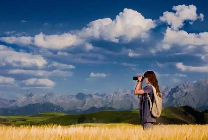 悦程出行|品质出行,畅享人生之旅_搜狐汽车_搜狐网