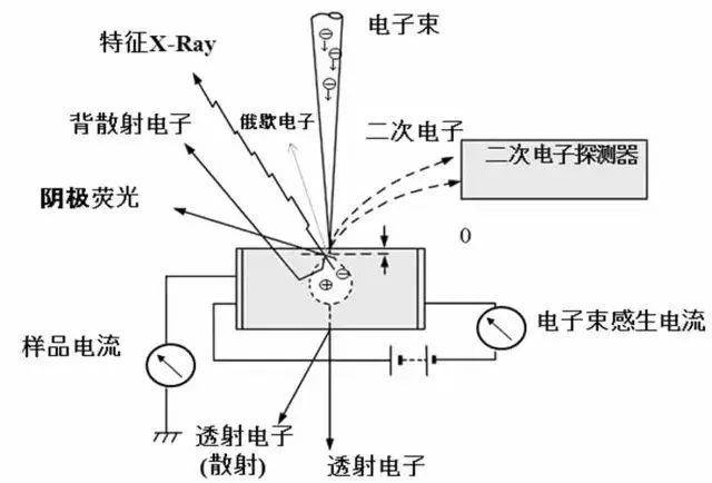 扫描电镜原理,优势,应用领域你都知道吗?_样品_电子_进行