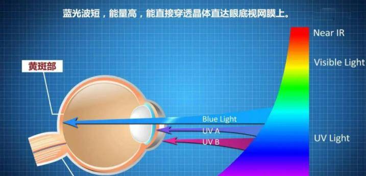 灯具防蓝光是什么意思？护眼灯蓝光危害等级的分类